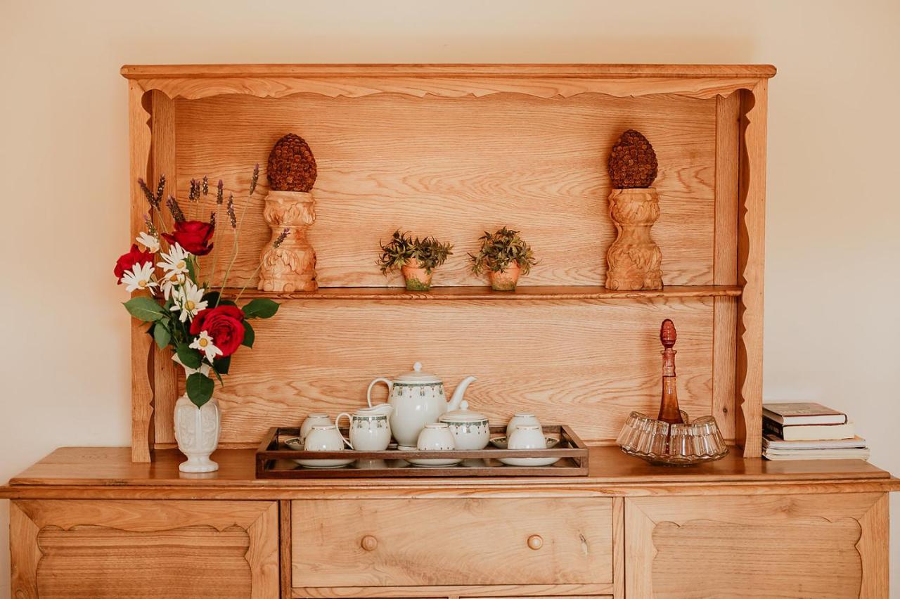 Homeforguest Rural House With Garden El Laurel Tacoronte Zewnętrze zdjęcie
