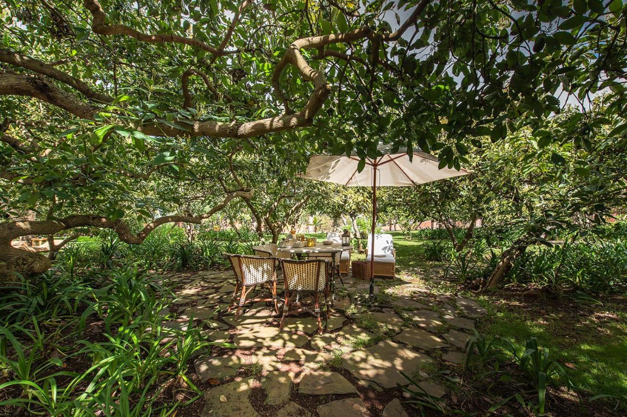 Homeforguest Rural House With Garden El Laurel Tacoronte Zewnętrze zdjęcie