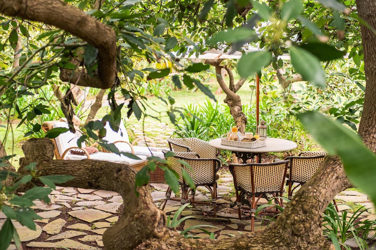 Homeforguest Rural House With Garden El Laurel Tacoronte Zewnętrze zdjęcie